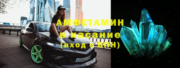 прущие грибы Верхний Тагил