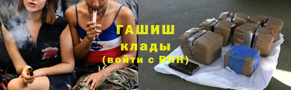 прущие грибы Верхний Тагил