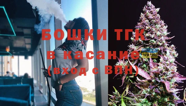 стафф Верея