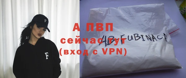 прущие грибы Верхний Тагил