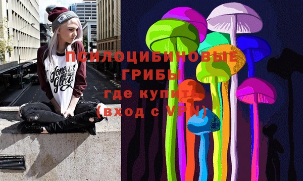стафф Верея