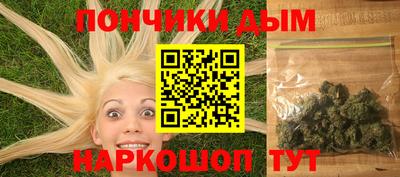 шишки Изобильный