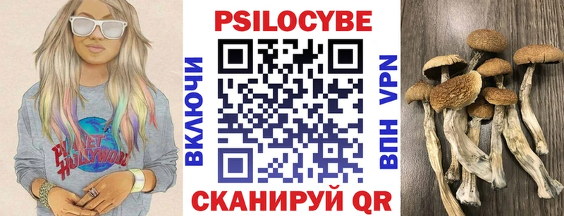 это официальный сайт  Назарово  Псилоцибиновые грибы мицелий 