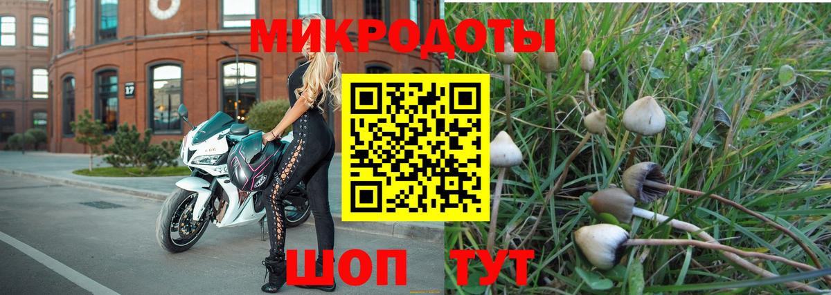 Галлюциногенные грибы прущие грибы Назарово